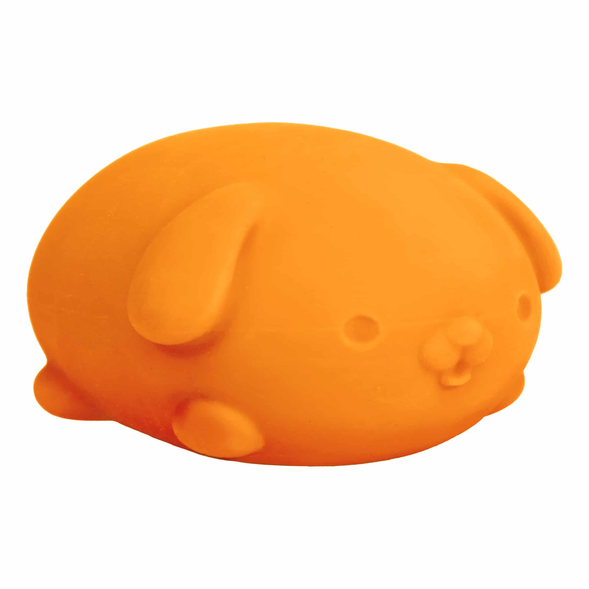 Animal-Shaped NeeDoh Funky Pup | Collection Canyon Shore - Dino Character Malt-Gel Filled Sensory Glob Detail