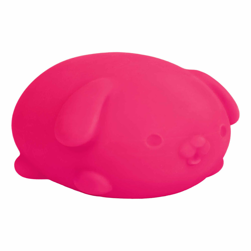 Animal-Shaped NeeDoh Funky Pup | Collection Canyon Shore - Dino Character Malt-Gel Filled Sensory Glob Detail