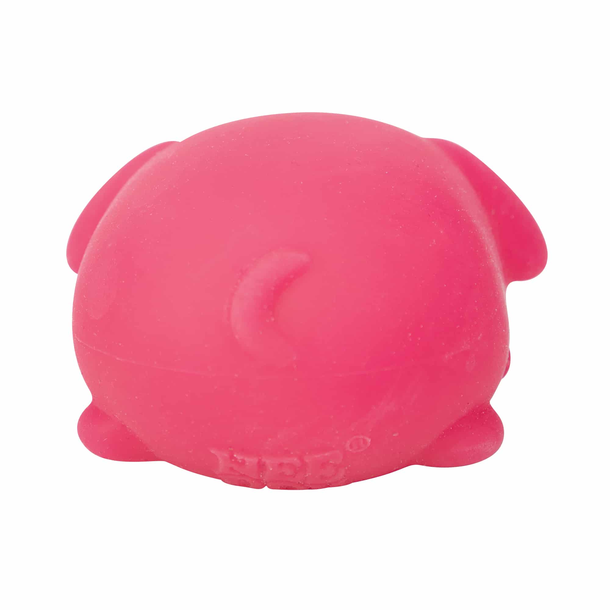 Animal-Shaped NeeDoh Funky Pup | Collection Canyon Shore - Dino Character Malt-Gel Filled Sensory Glob Detail