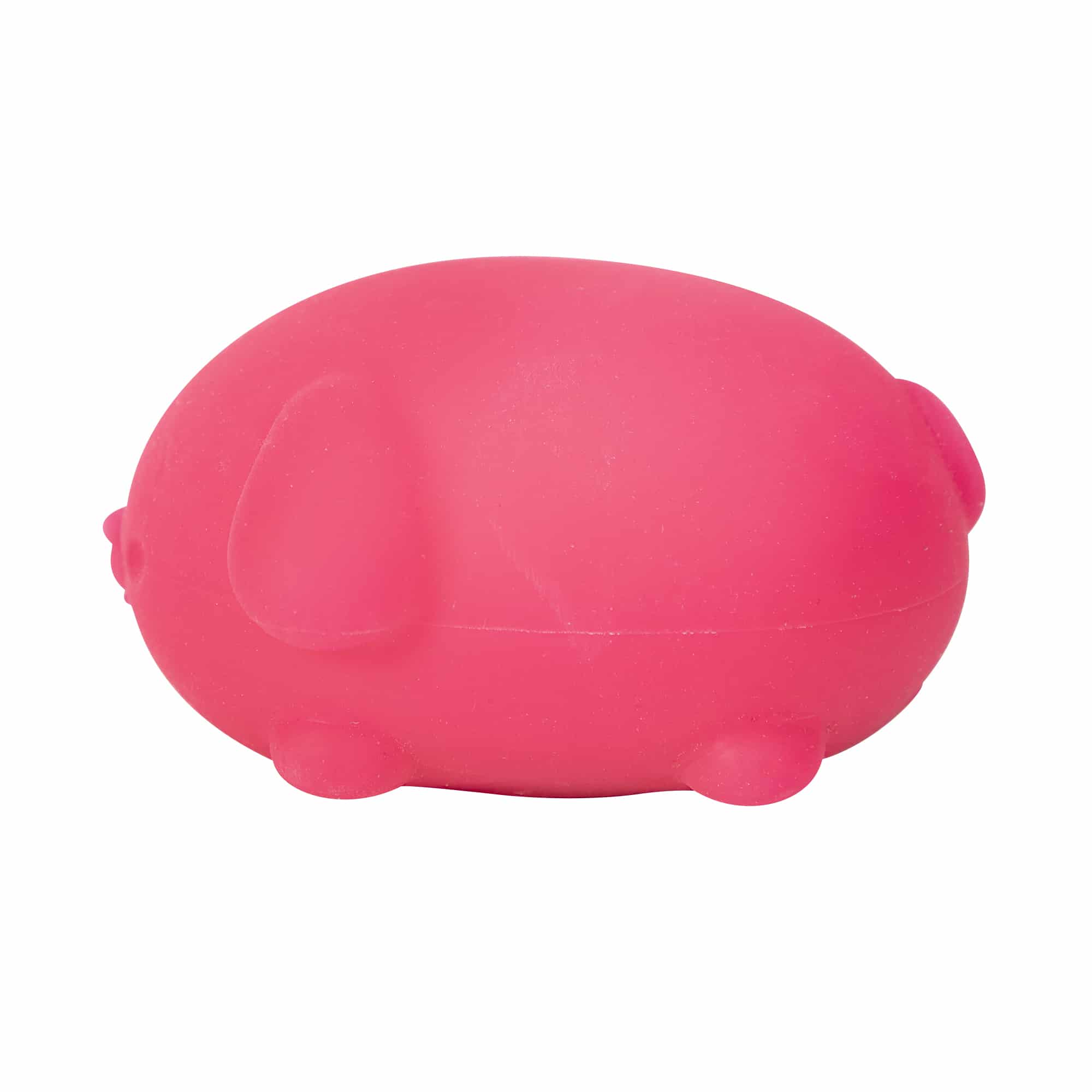 Animal-Shaped NeeDoh Funky Pup | Collection Canyon Shore - Dino Character Malt-Gel Filled Sensory Glob Detail