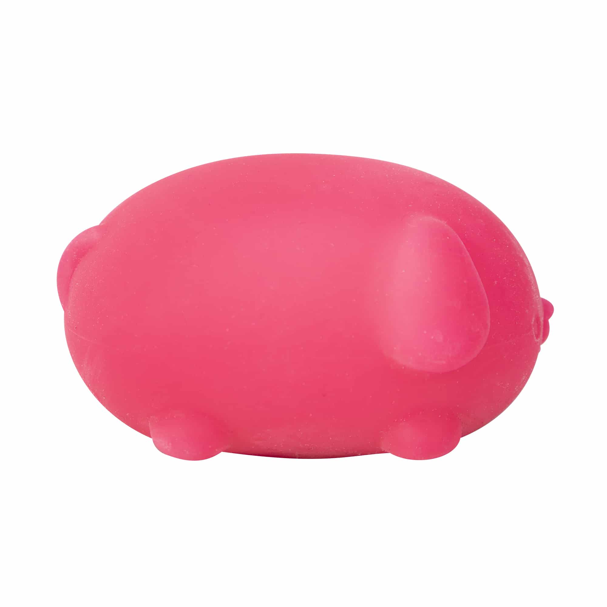 Animal-Shaped NeeDoh Funky Pup | Collection Canyon Shore - Dino Character Malt-Gel Filled Sensory Glob Detail