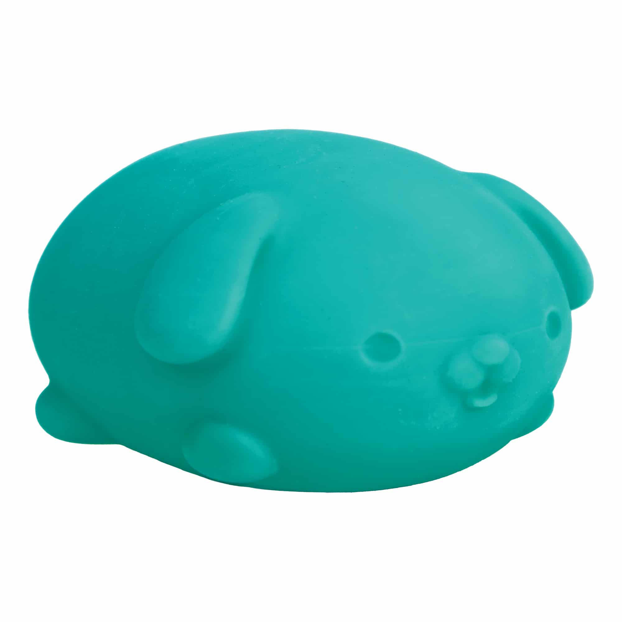 Animal-Shaped NeeDoh Funky Pup | Collection Canyon Shore - Dino Character Malt-Gel Filled Sensory Glob Detail