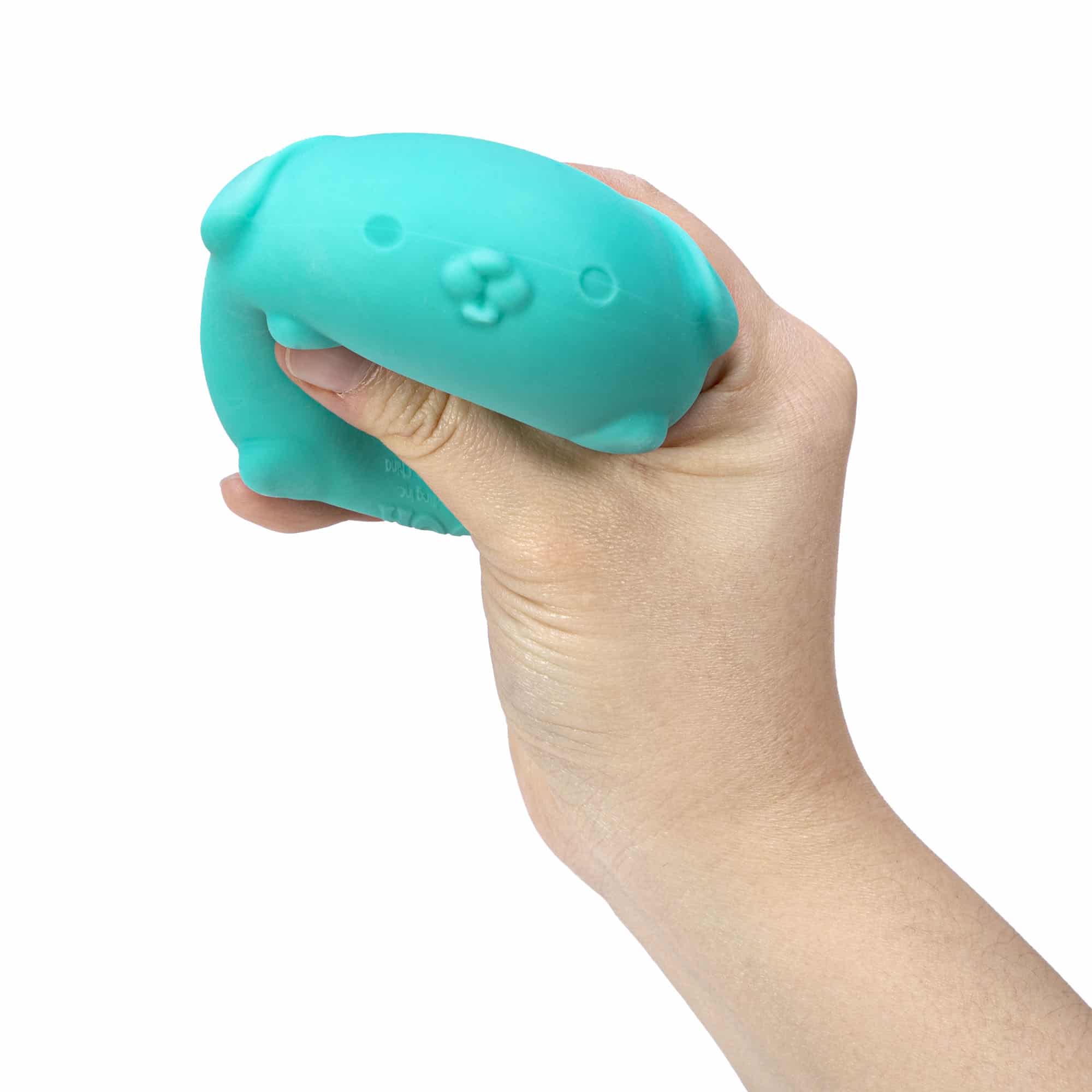 Animal-Shaped NeeDoh Funky Pup | Collection Canyon Shore - Dino Character Malt-Gel Filled Sensory Glob Detail